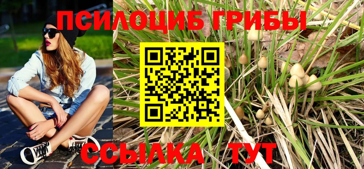 Валуйки  Псилоцибиновые грибы GOLDEN TEACHER  Галлюциногенные грибы прущие грибы  Вход с VPN 