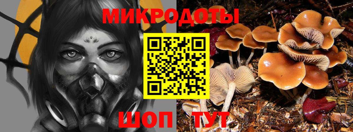 Псилоцибиновые грибы GOLDEN TEACHER Валуйки